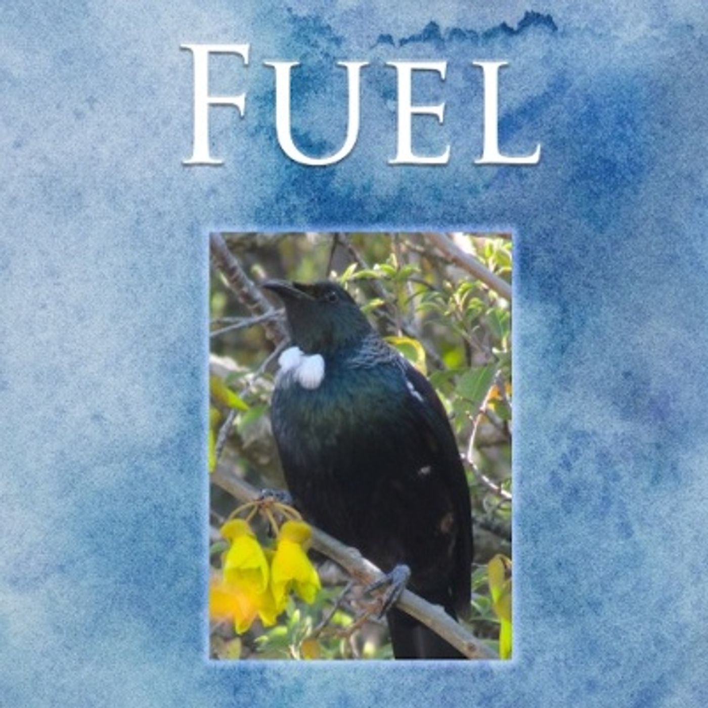 Fuel for the Mind and Soul cover art