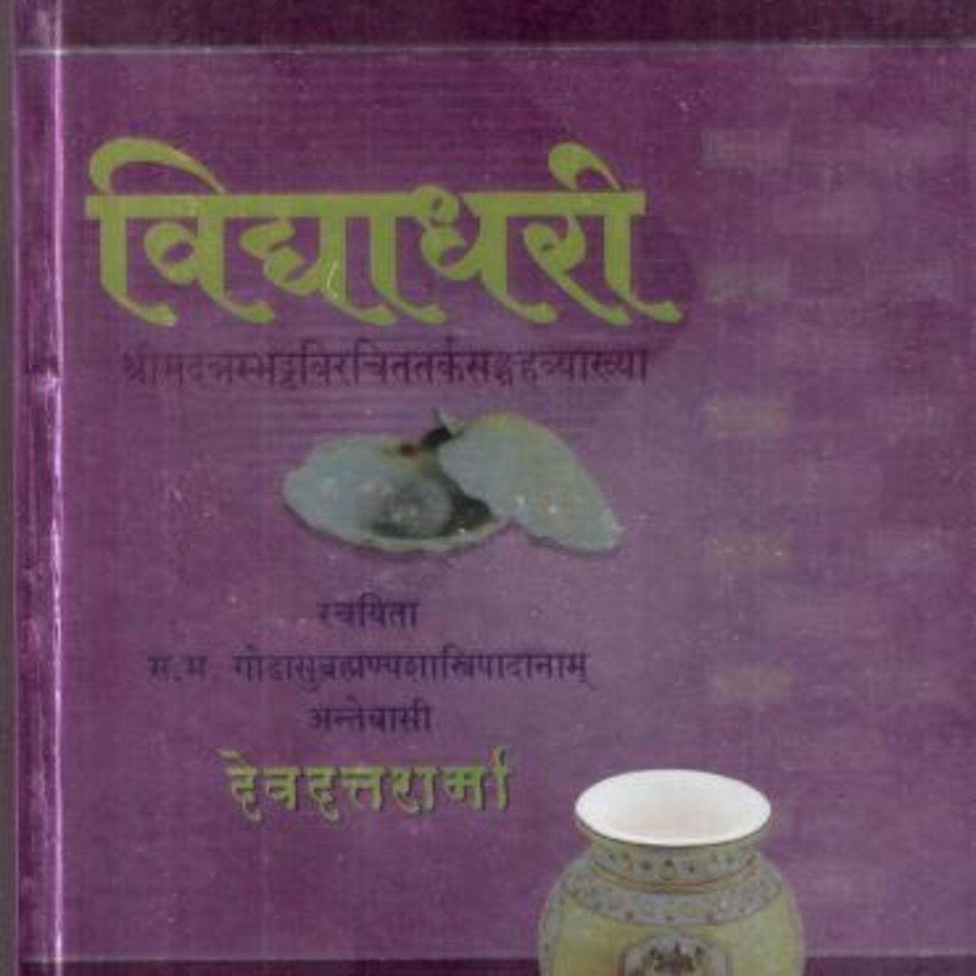The Vidyadhari (विद्याधरी) episode artwork