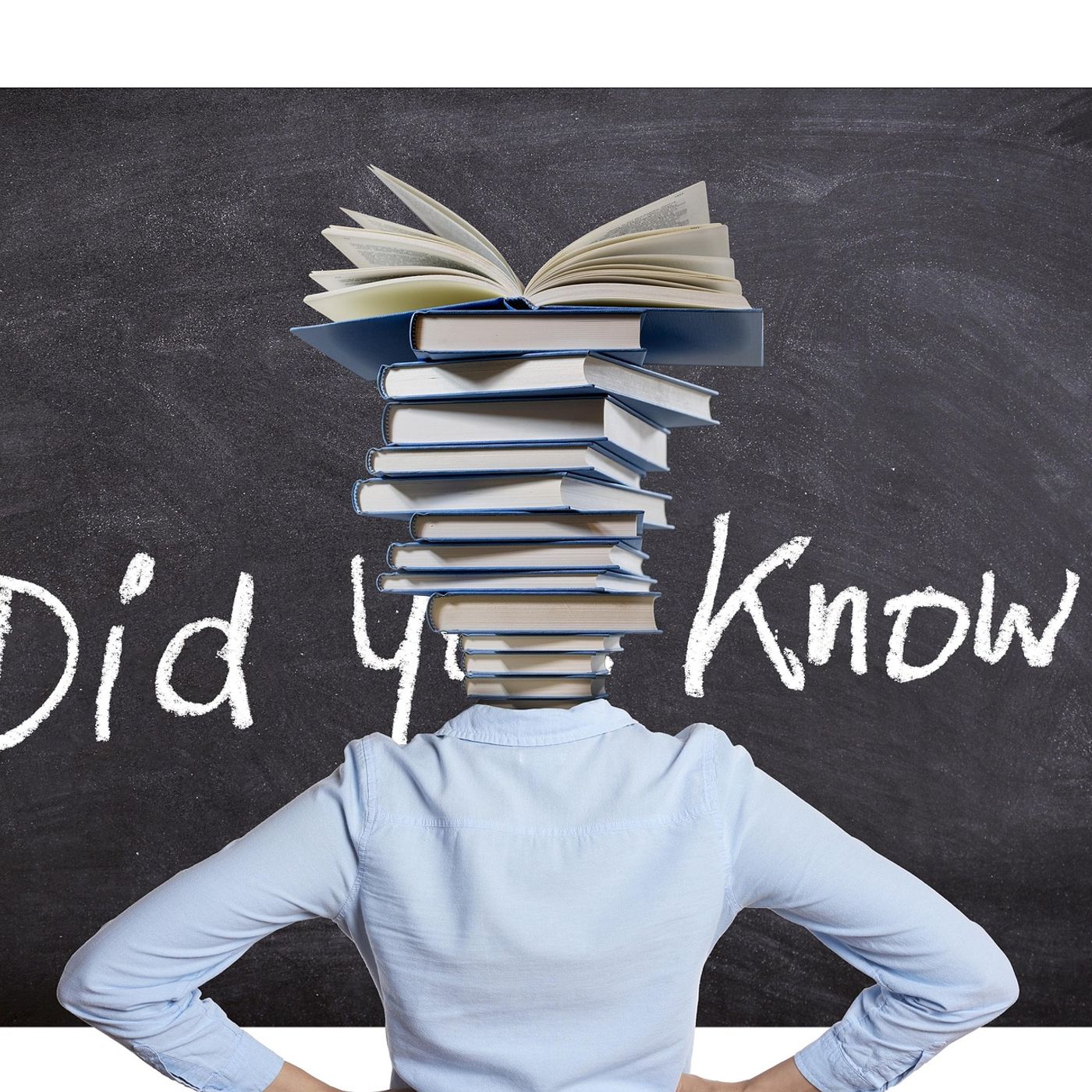 In-Depth Knowledge & Analysis