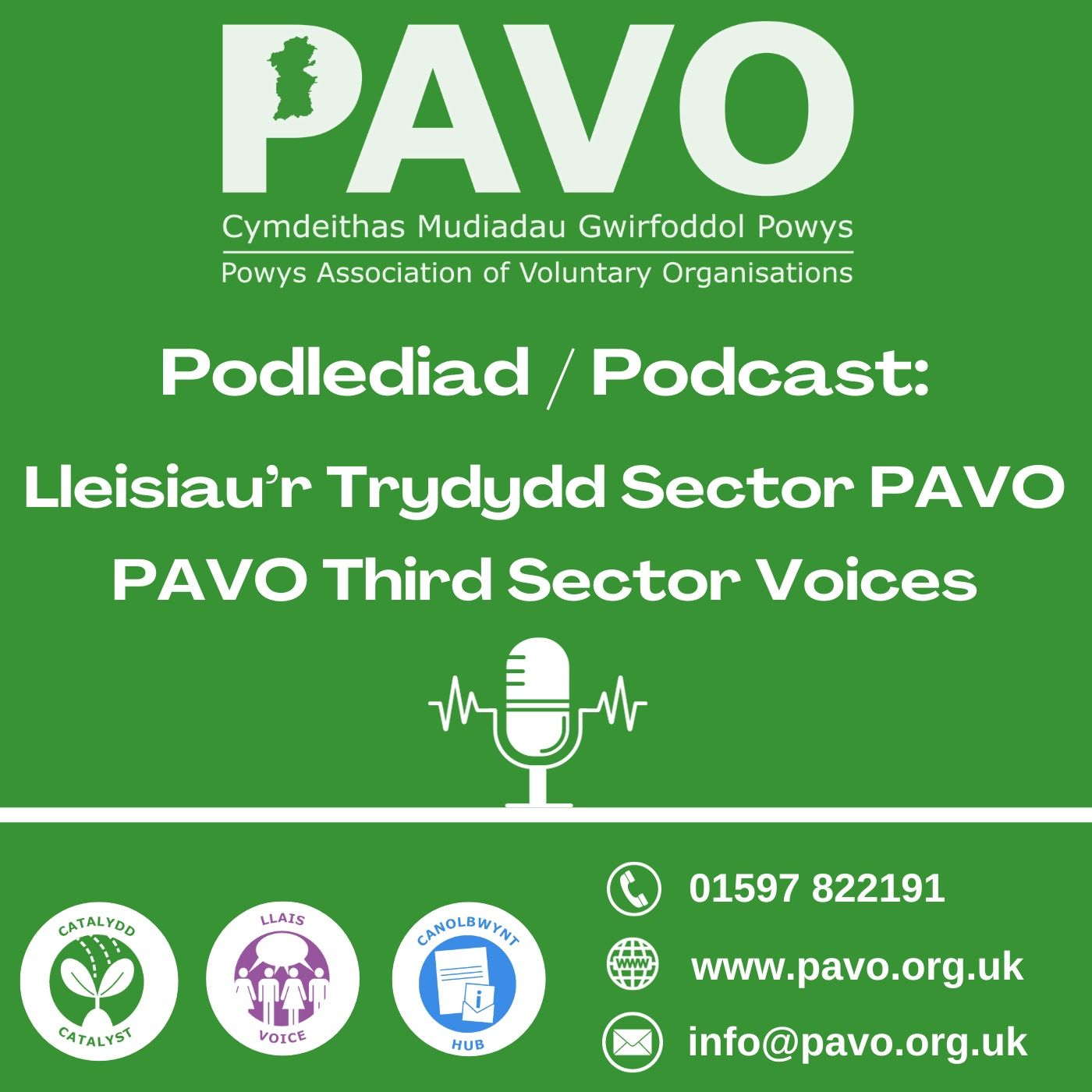 PAVO Third Sector Voices podcast artwork