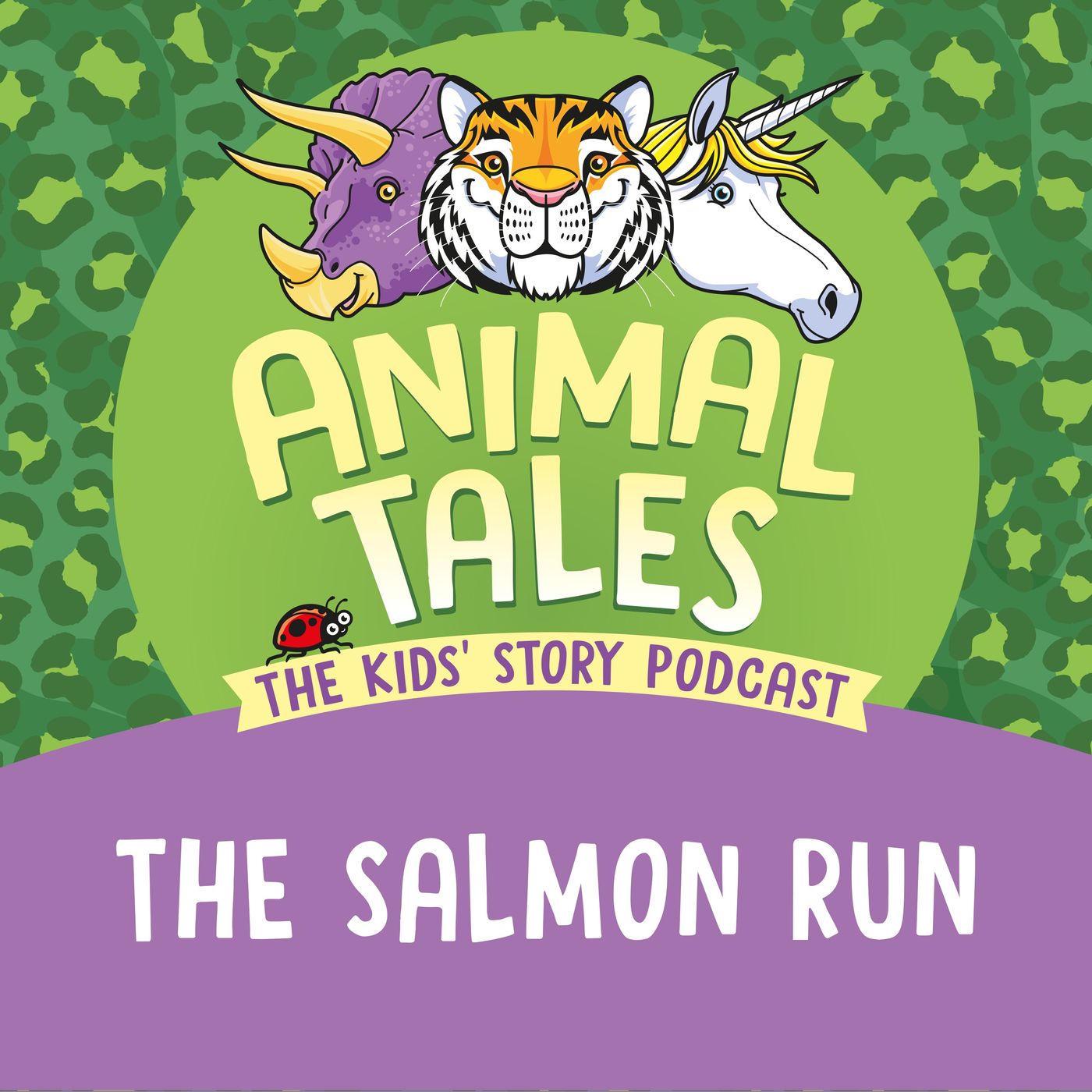 The Salmon Run