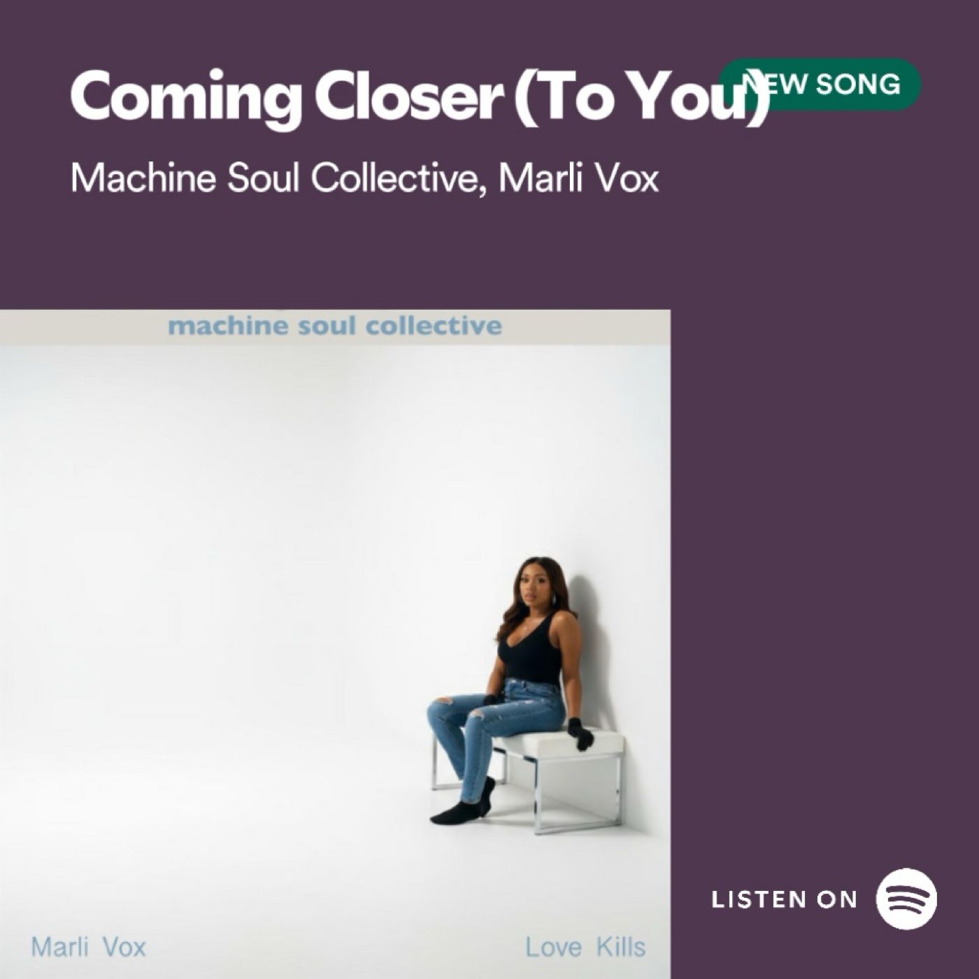 Machine Soul Collective ft. Marli  Vox 11:5:25 4.08 PM
