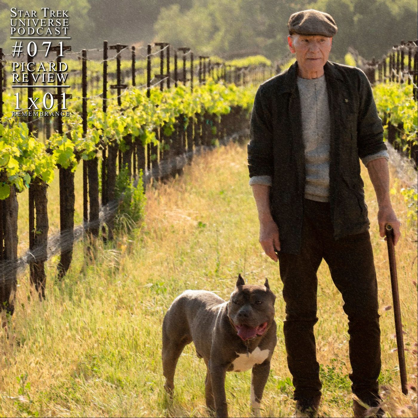 PICARD REVIEW! 1x01 - 