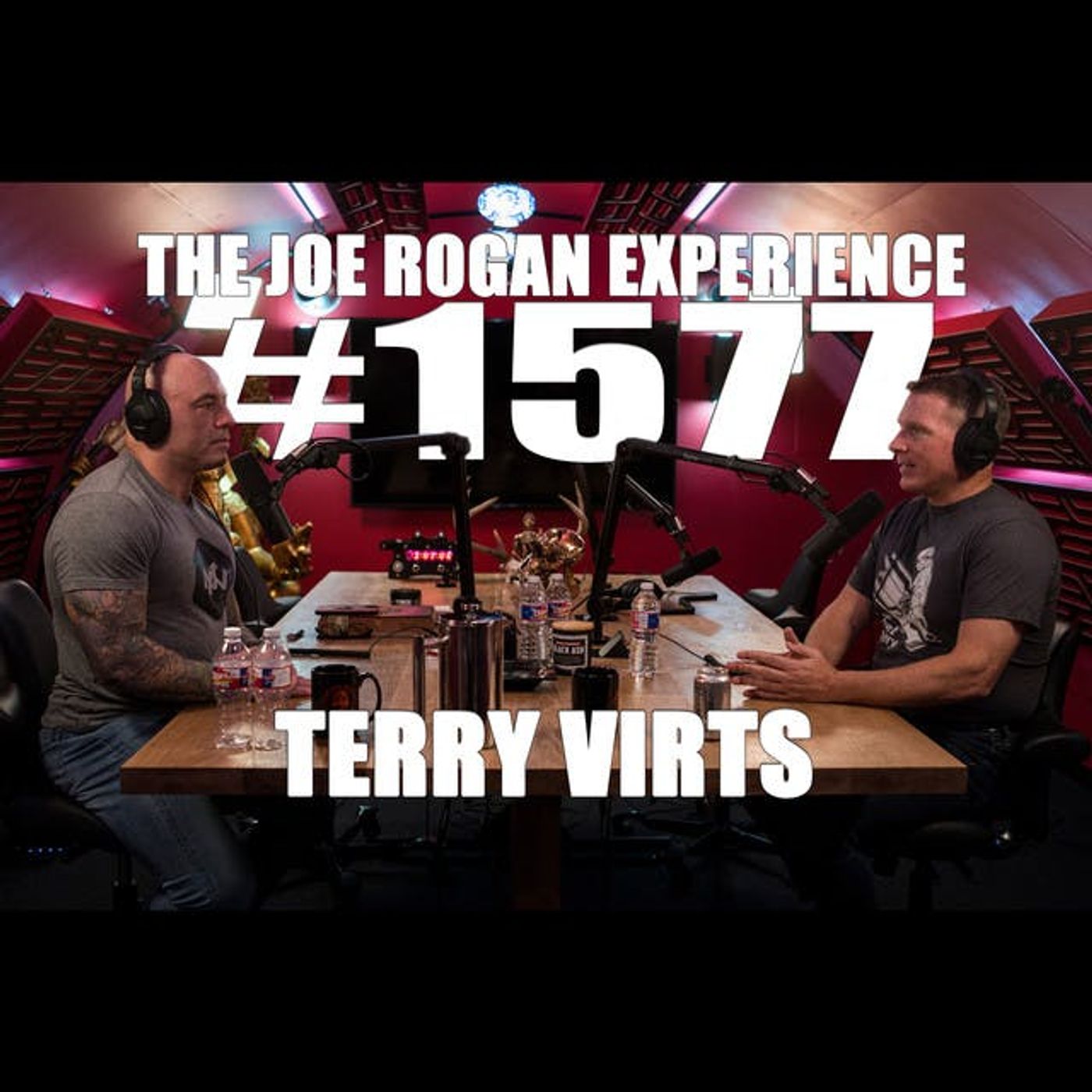 The Joe Rogan Experience