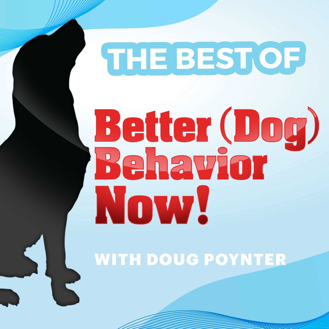 Best Of Better (Dog) Behavior Now!