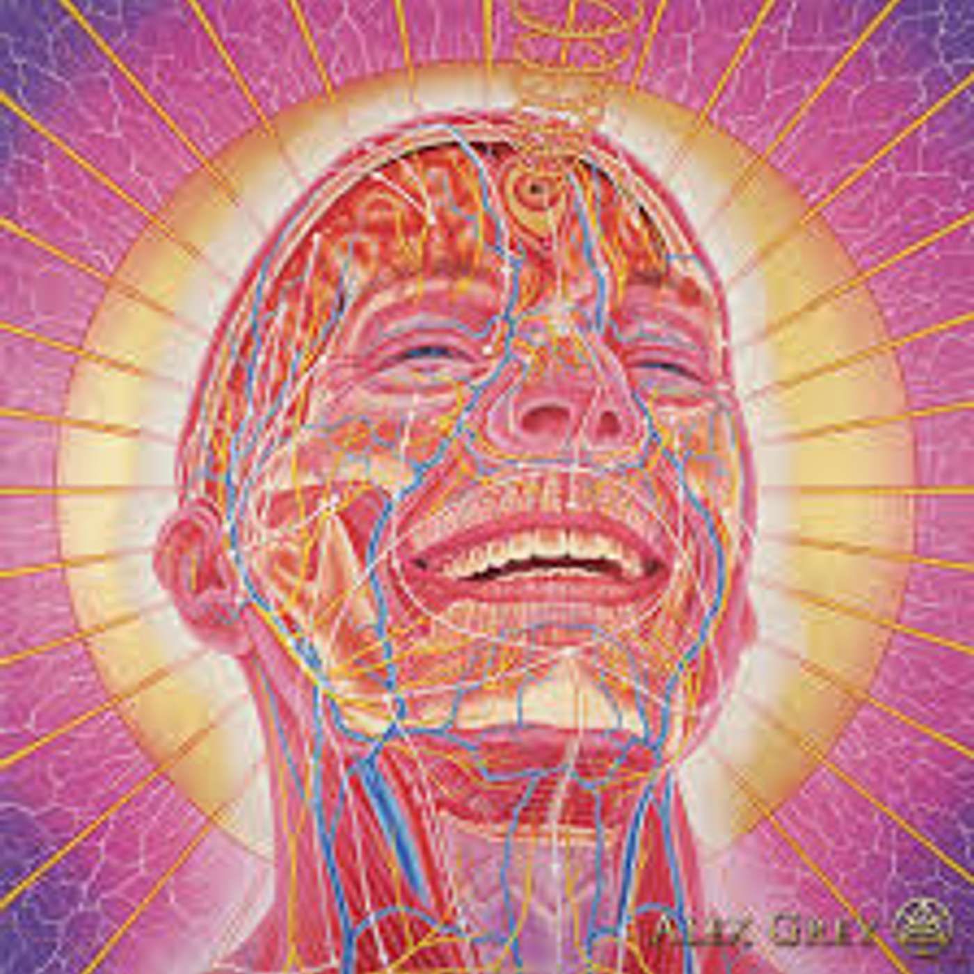 Alpha Male Buddhist From Brooklyn