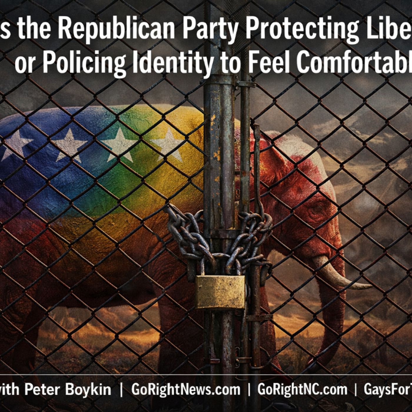 When Conservatism Forgets the Constitution: Gatekeepers, Identity, and the Cost of Silence episode artwork