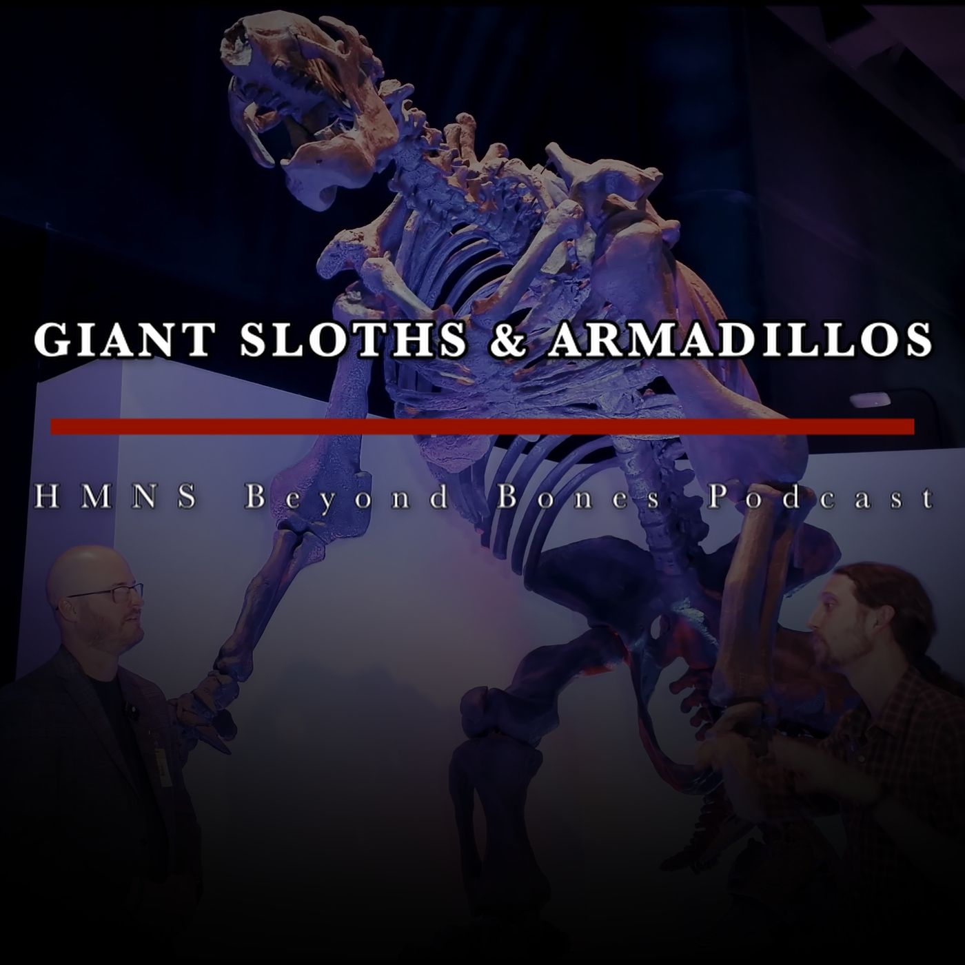 Two Big, Two Fail: The Life and Demise of Ice Age Giants, Ground Sloths & Armadillos