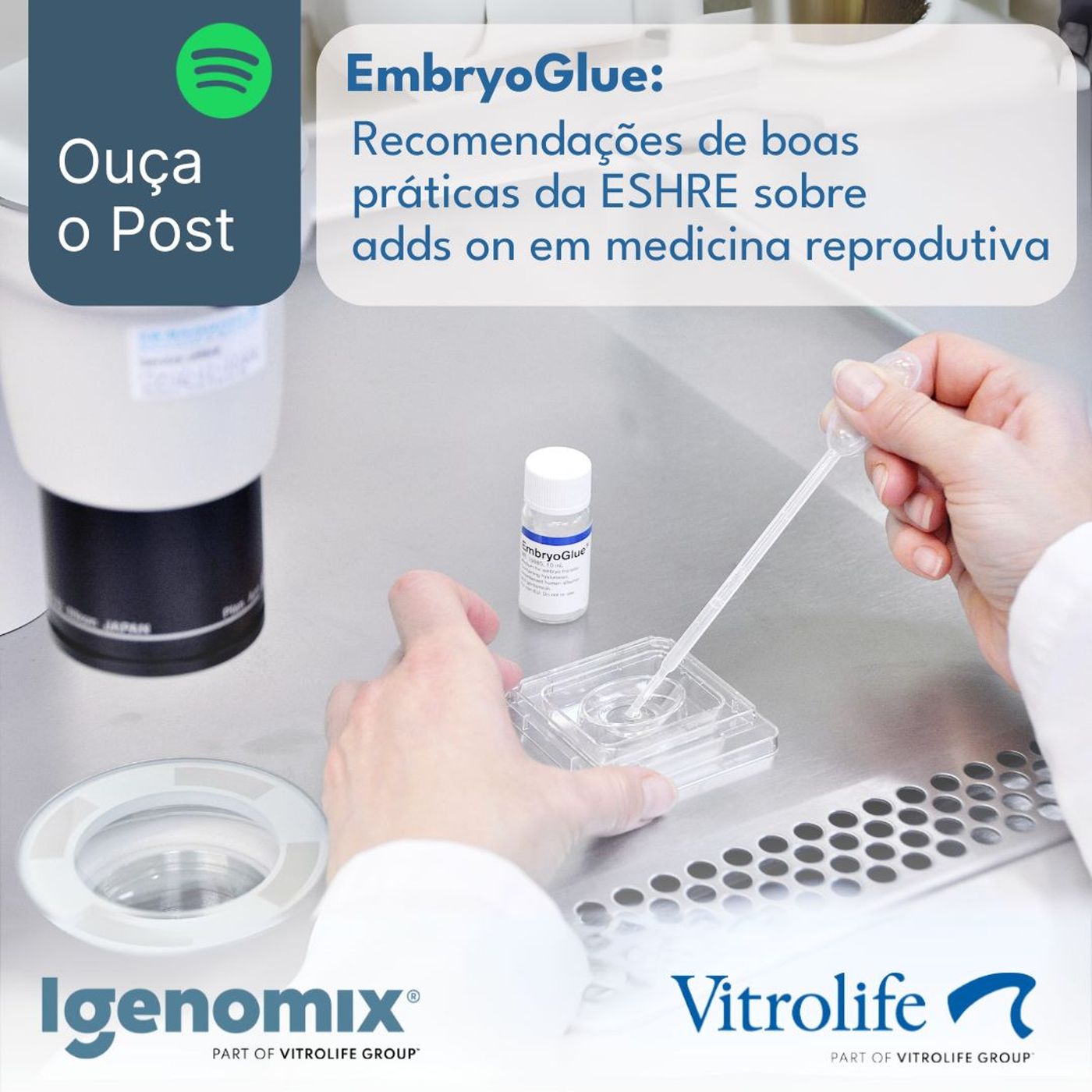 Nós tentantes, Projeto de Vida