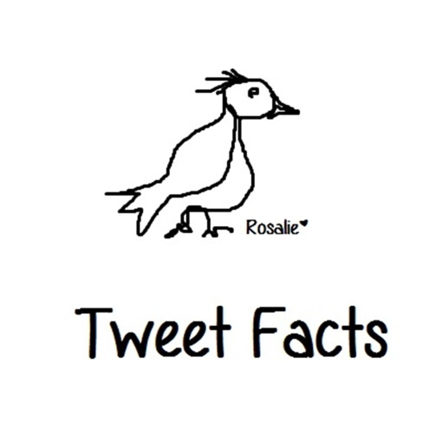Tweet Facts episode artwork