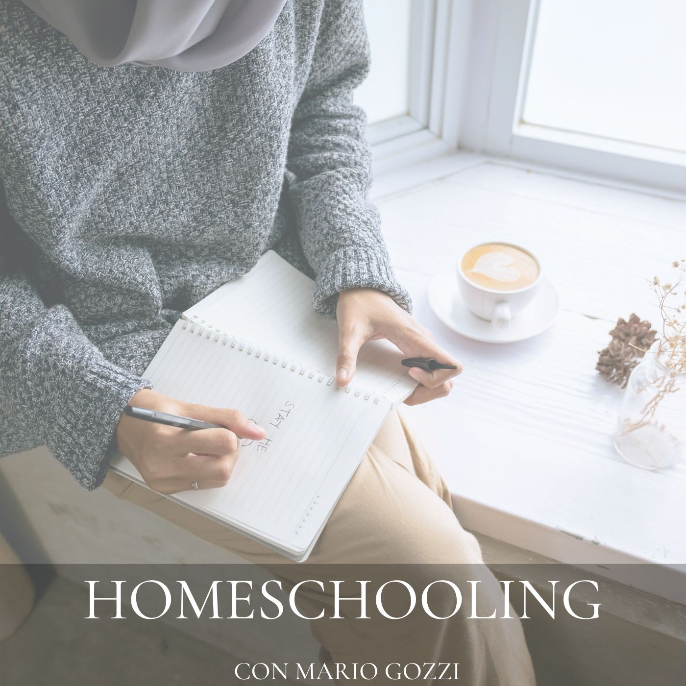 Homeschooling - Con Mario Gozzi cover art