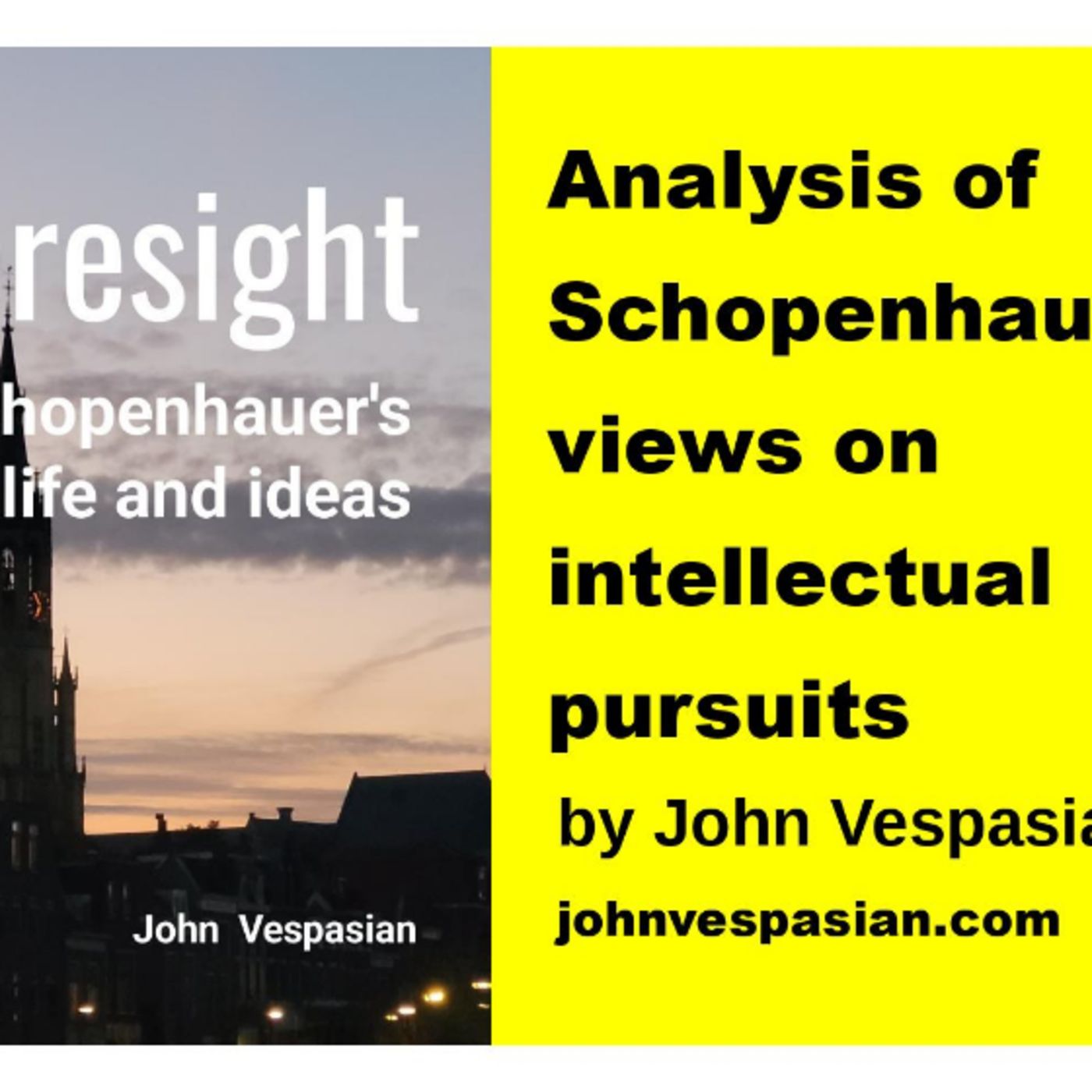 Analysis of Schopenhauer’s views on intellectual pursuits episode artwork