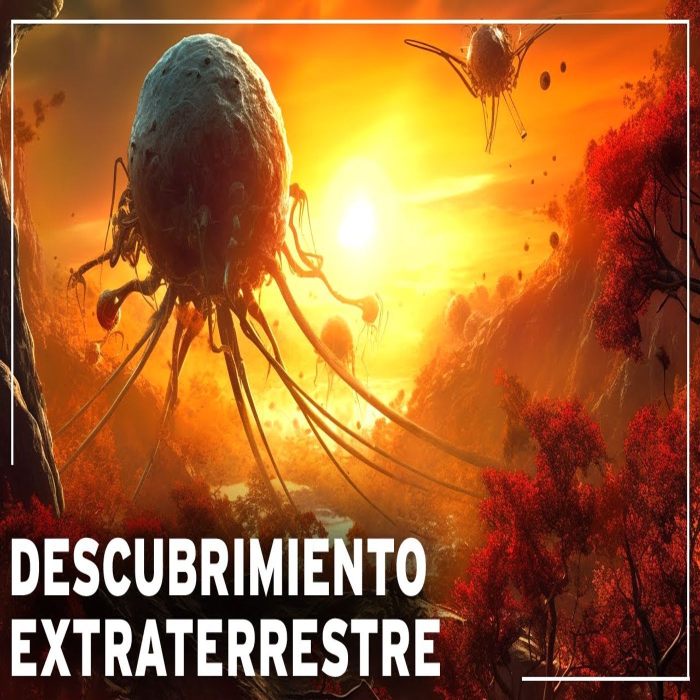 Jodisea Mundo Odiseas Documentales Podcast para dormir en Español Audio Libros Historia Niños+Adulto