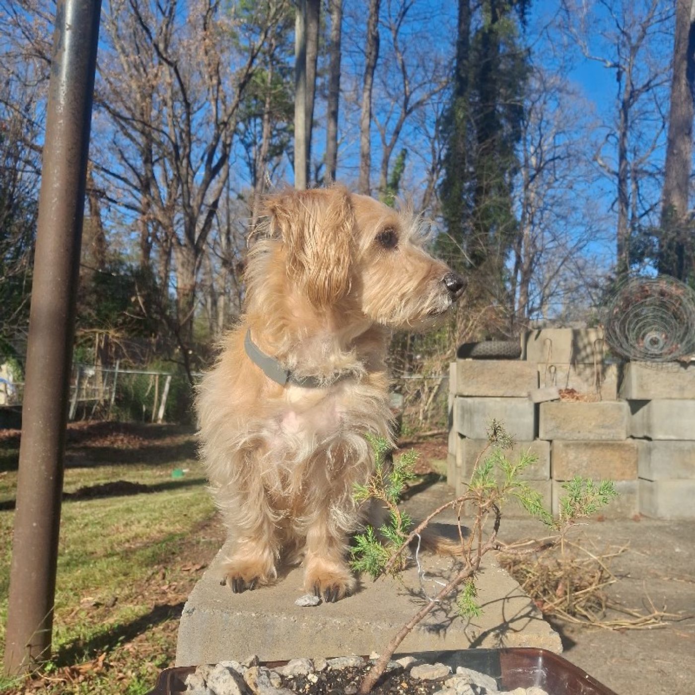 SevensDays MusicElSalvador -RadioDigital