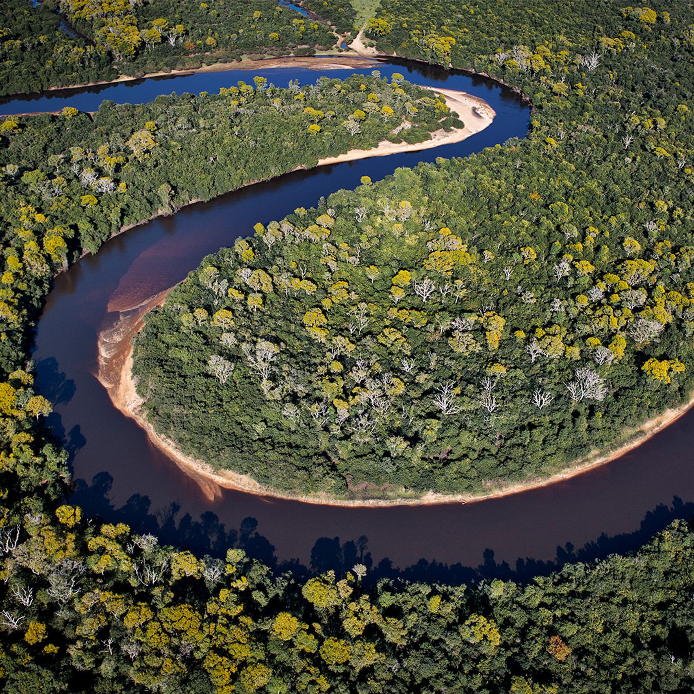 Exposição: Água Pantanal Fogo