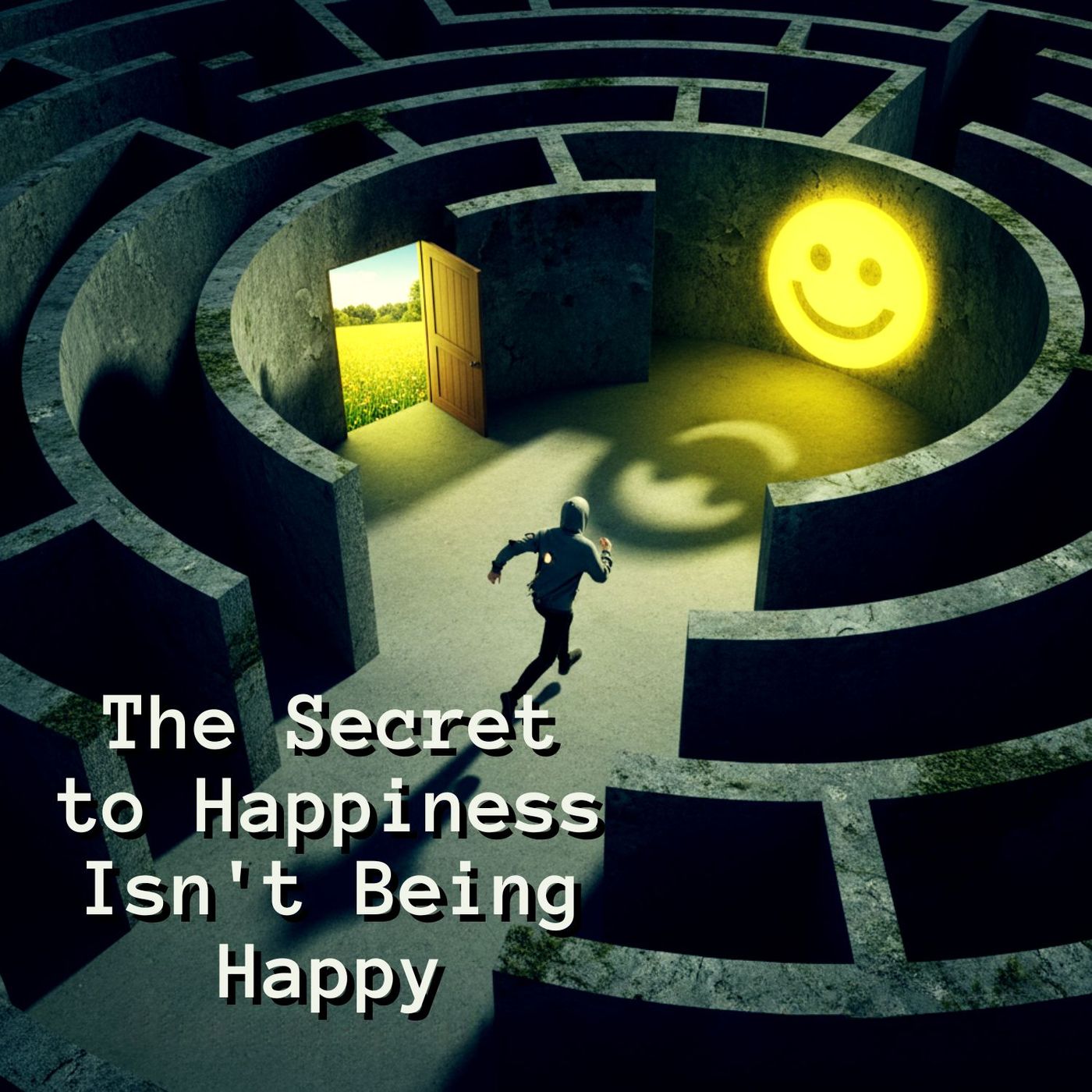 The SECRET to Happiness Isn't Being Happy