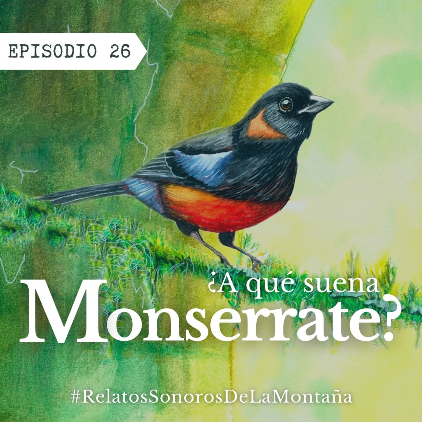 Relatos Sonoros de la Montaña