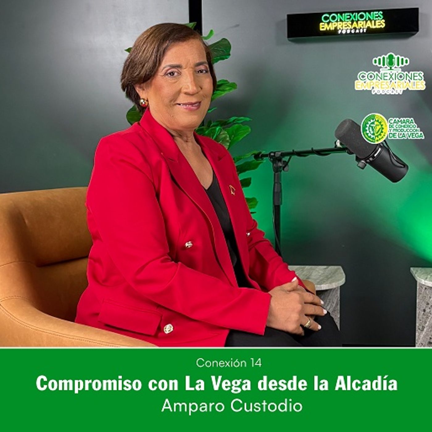 Conexiones Empresariales