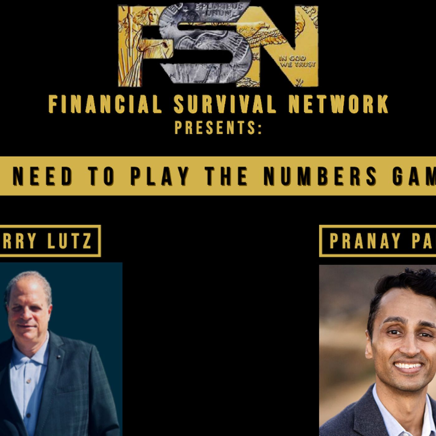 cover of episode Investors Need to Play the Numbers Game and Win - Pranay Parikh  #5579