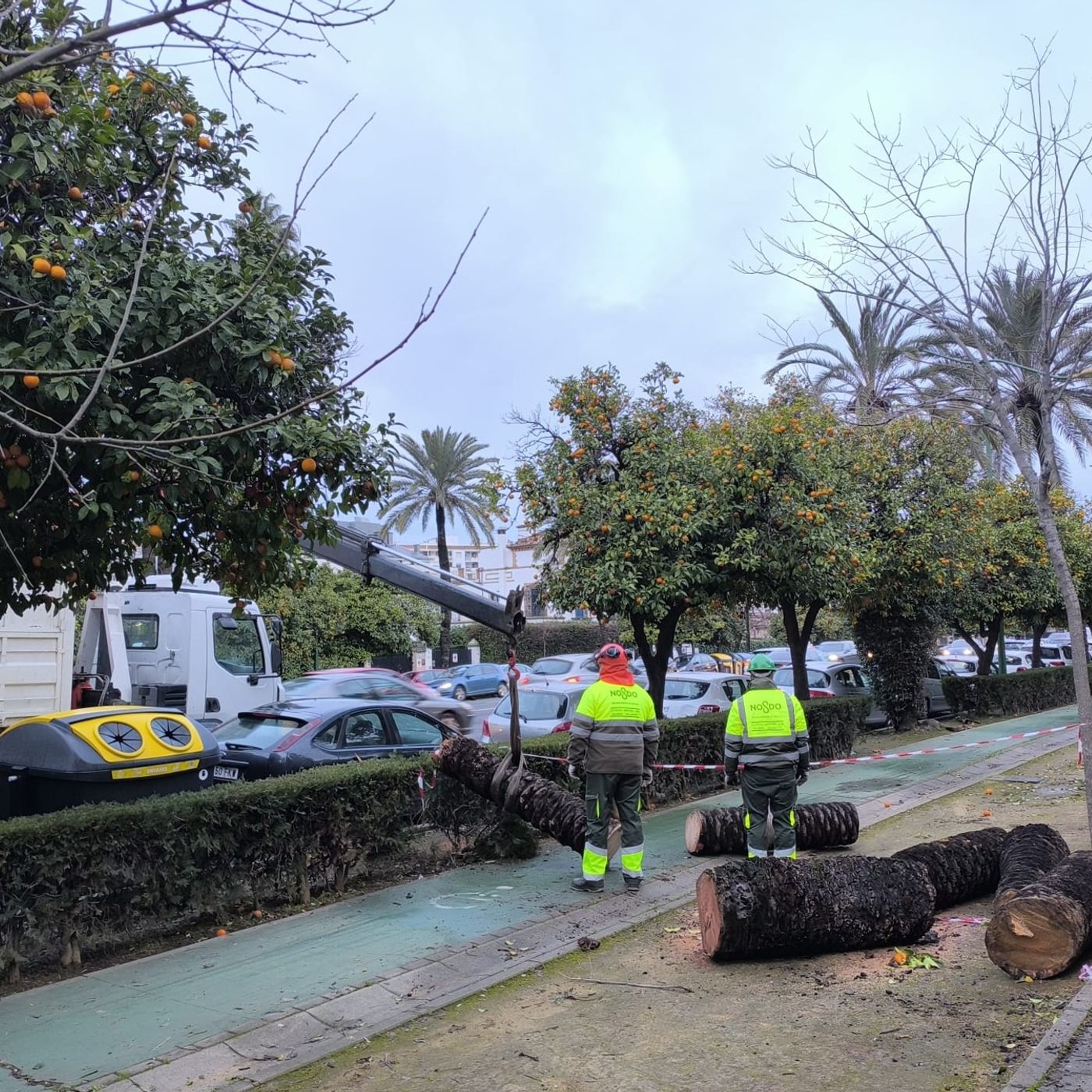 El día en 15 minutos: Los estragos del temporal en Andalucía y el enfado de los trabajadores de los trenes con Puente