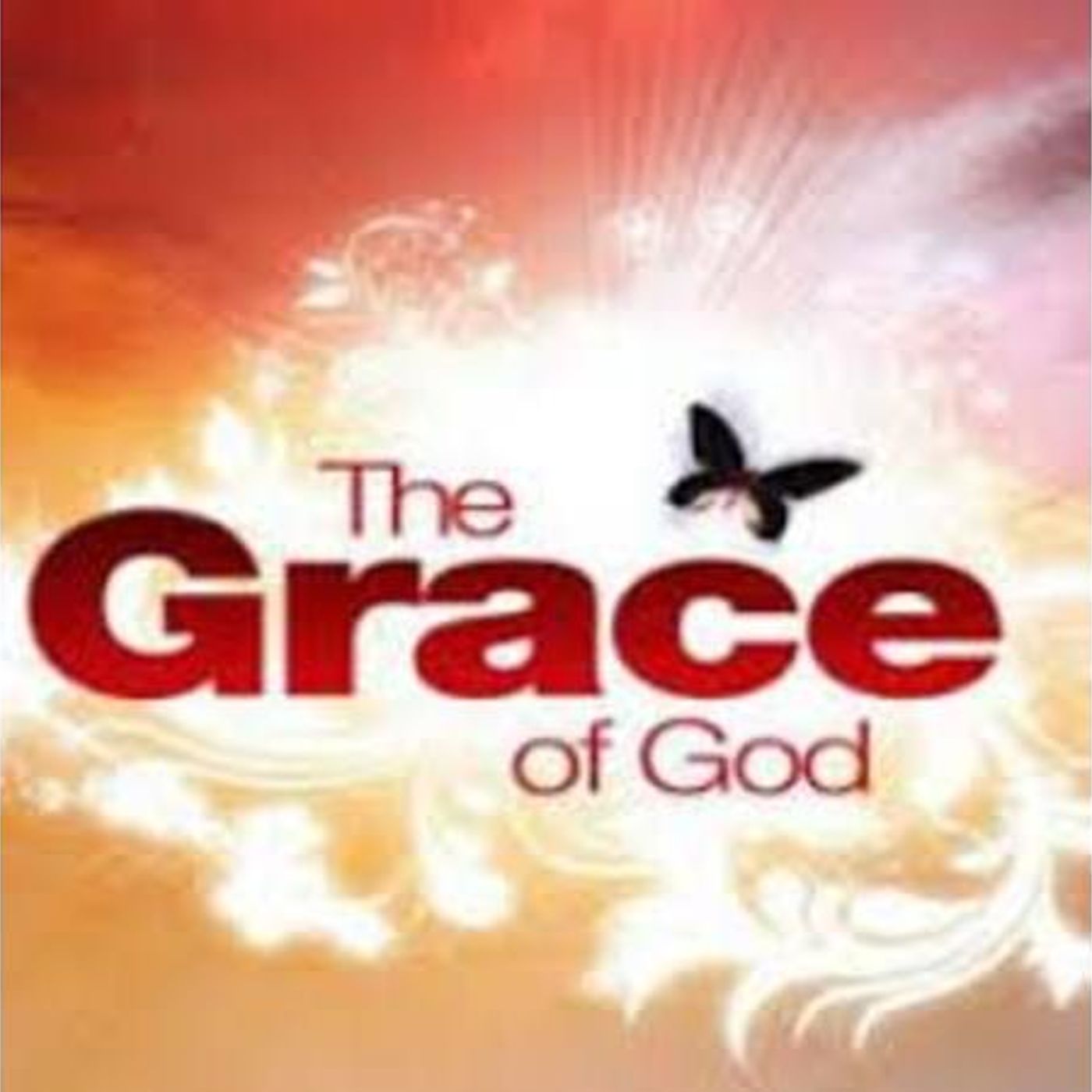 Every Man Standing: Bishop Lester Carver And Elder Daniel Newman: Grace episode artwork
