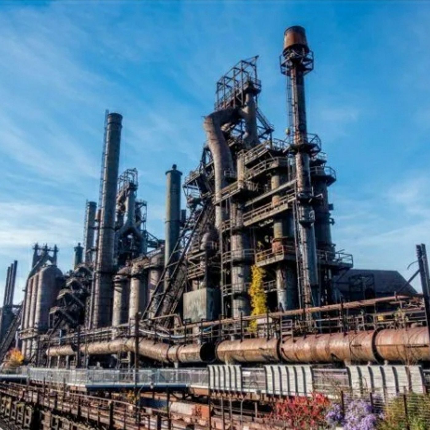 Thrifting For The Future!