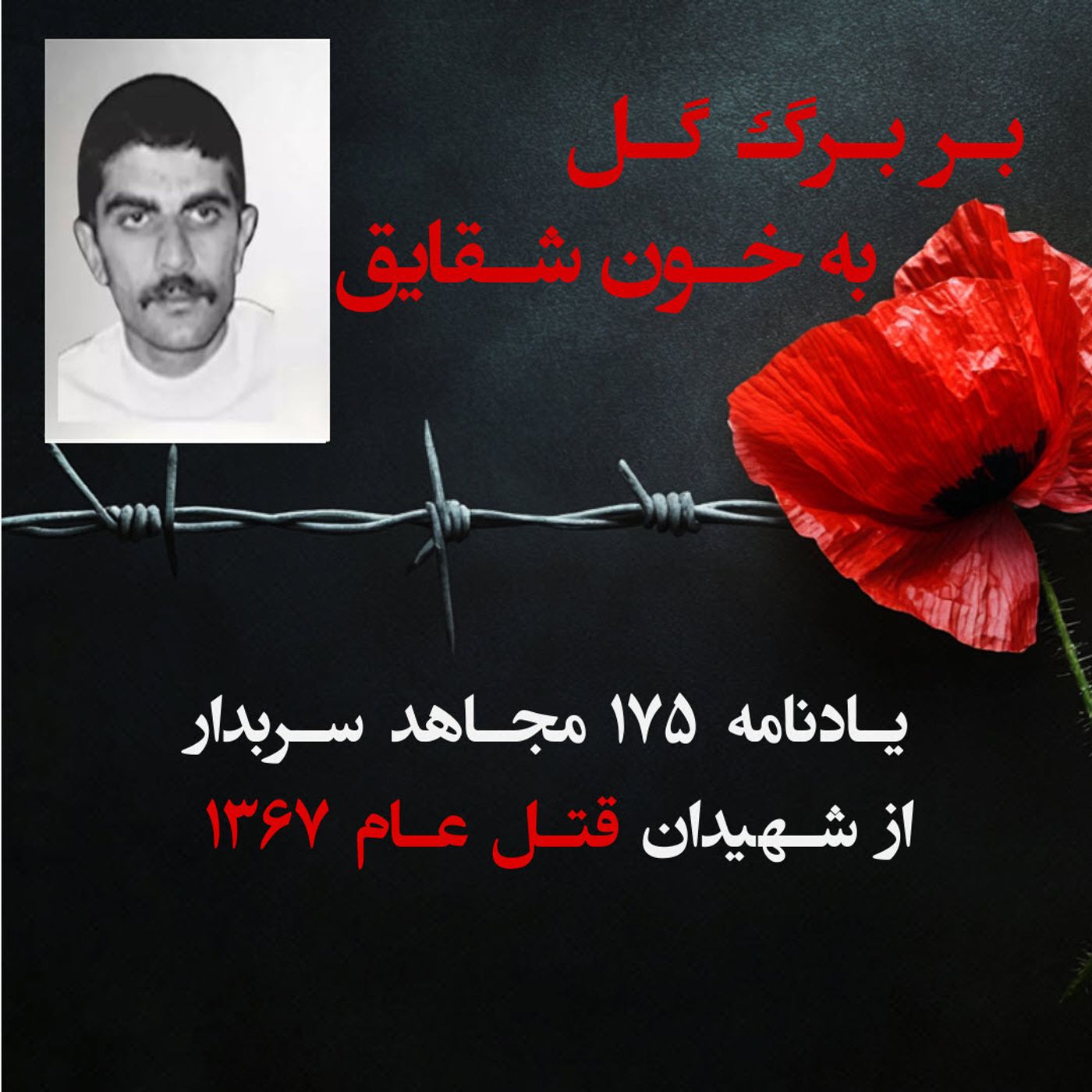 بربرگ گل به خون شقایق- محمود حسنی