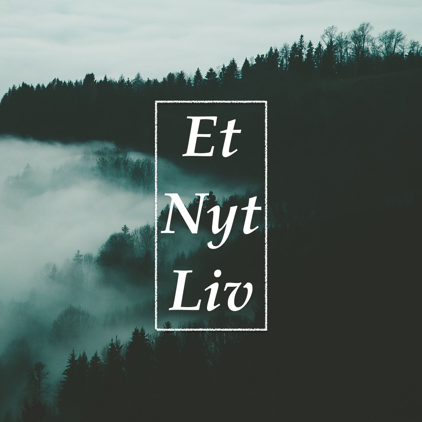 Et Nyt Liv af Gustav Fahnøe