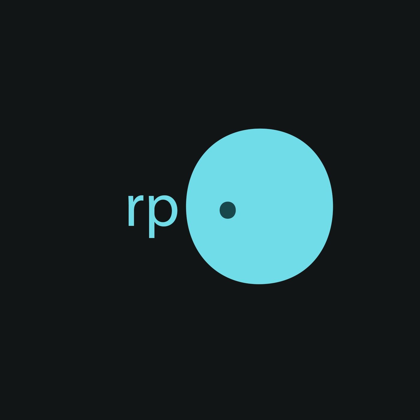 radiopunto's show