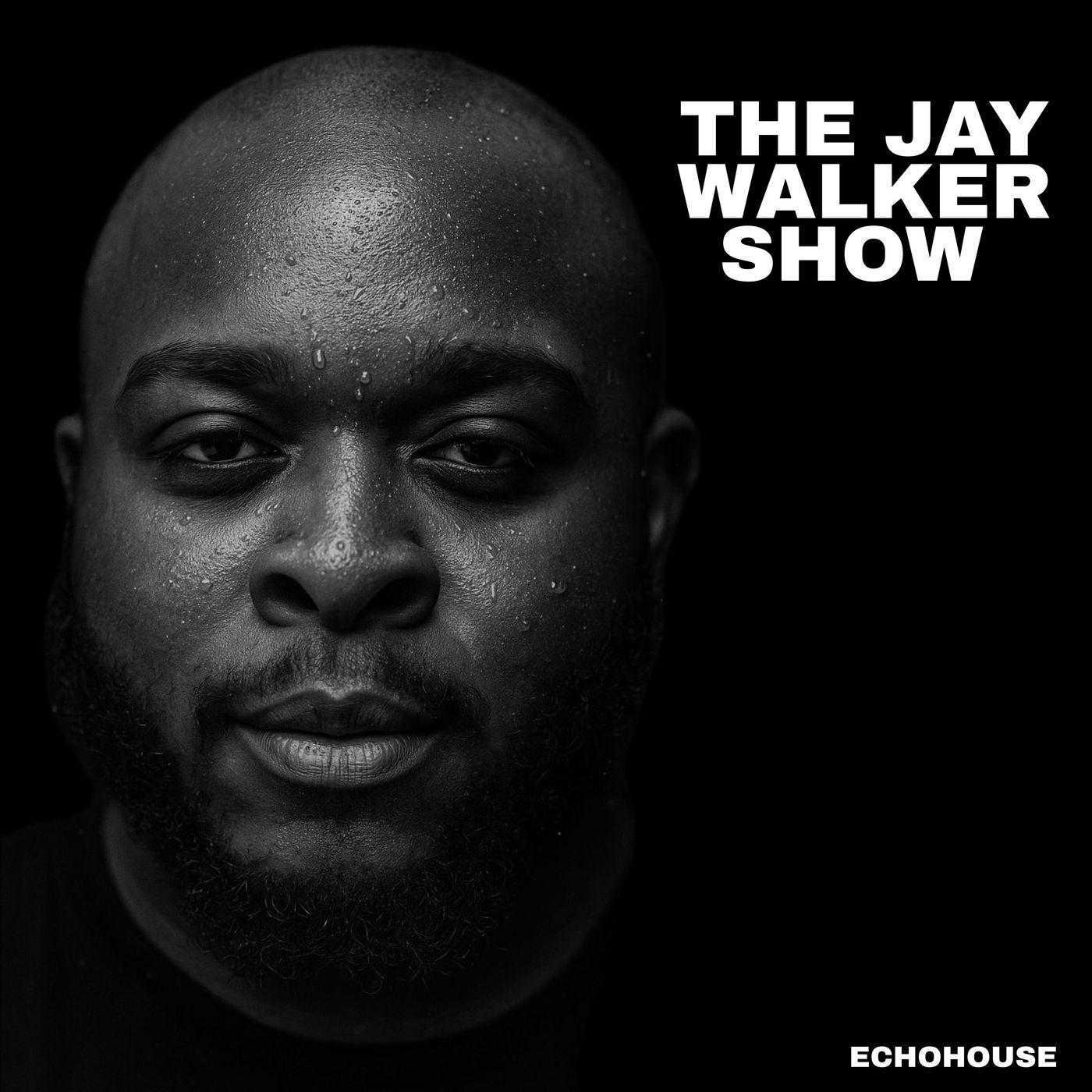 The Jay Walker Show