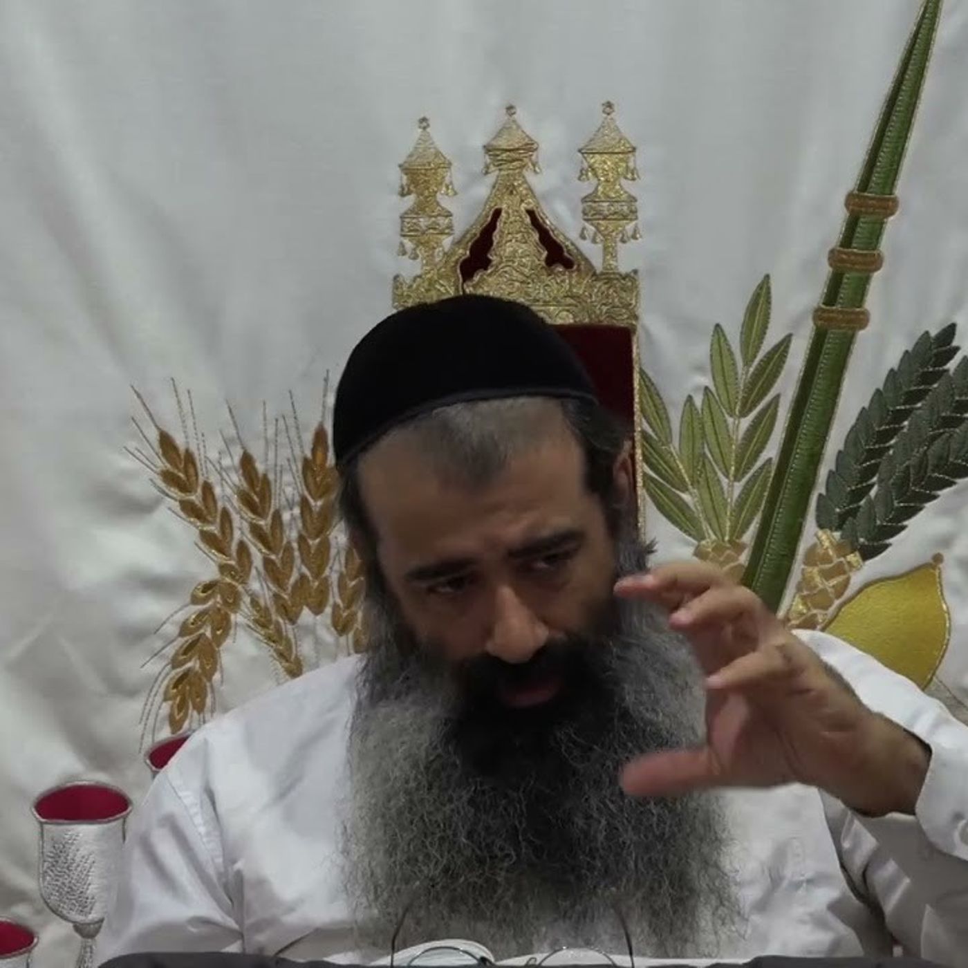 השפעת מוחין היא באמת השפעה שכלית - שיעור 18 | כוונת ה' אחד | אליו ולא למידותיו | הרב מאיר מועלם episode artwork
