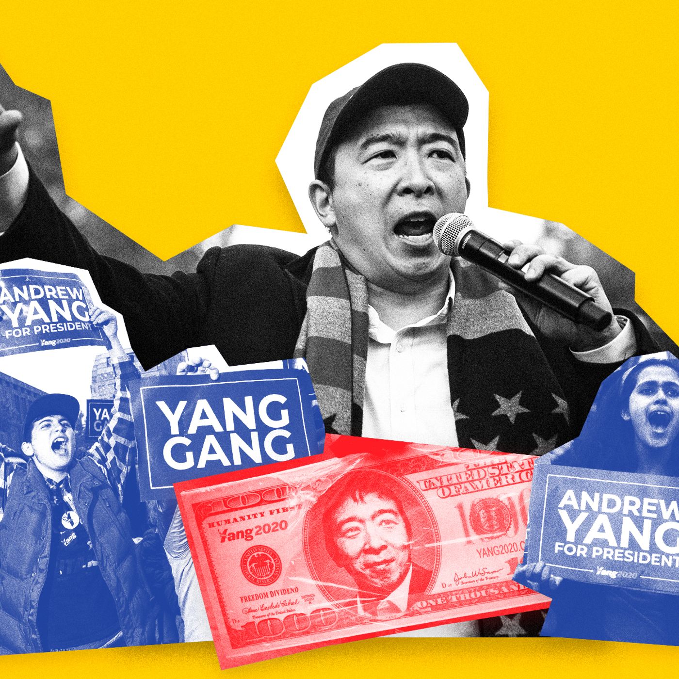 #263: Can Andrew Yangs Policies Translate to Other Democrats? - podcast episode cover