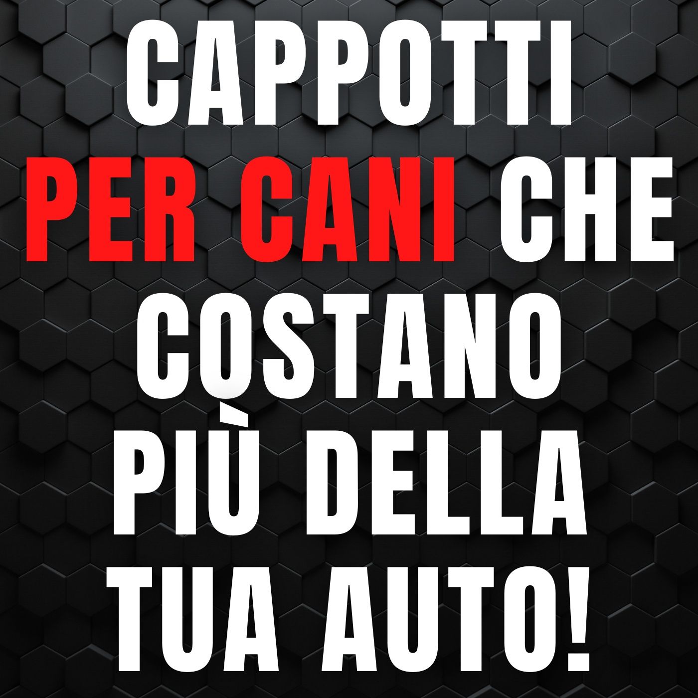 184 - Cappotti per cani che costano più della tua auto pd episode artwork