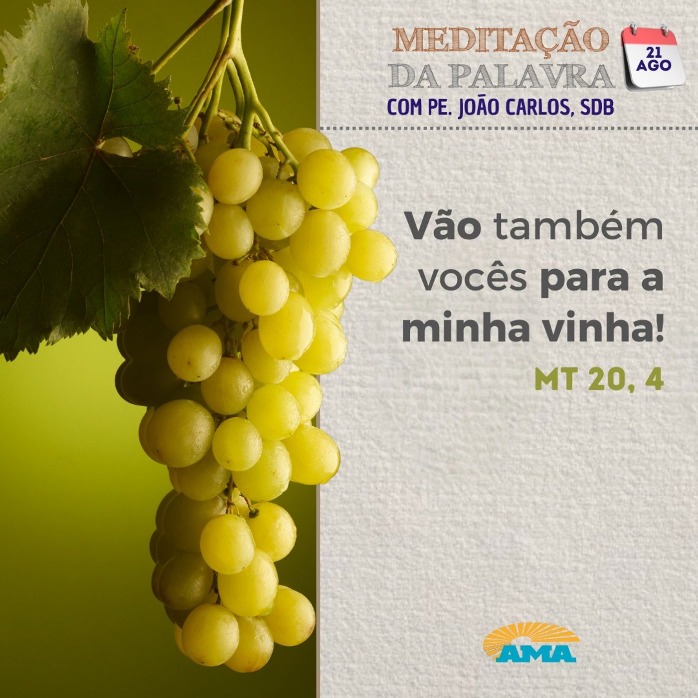 21 de agosto de 2024 - Meditação da Palavra do Senhor