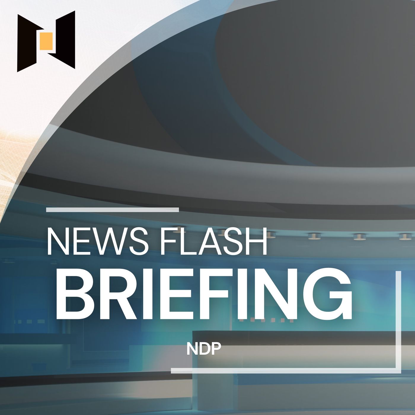 News Flash Briefing | January 2nd | NDP Media News Flash Briefing | January 2nd | NDP Media