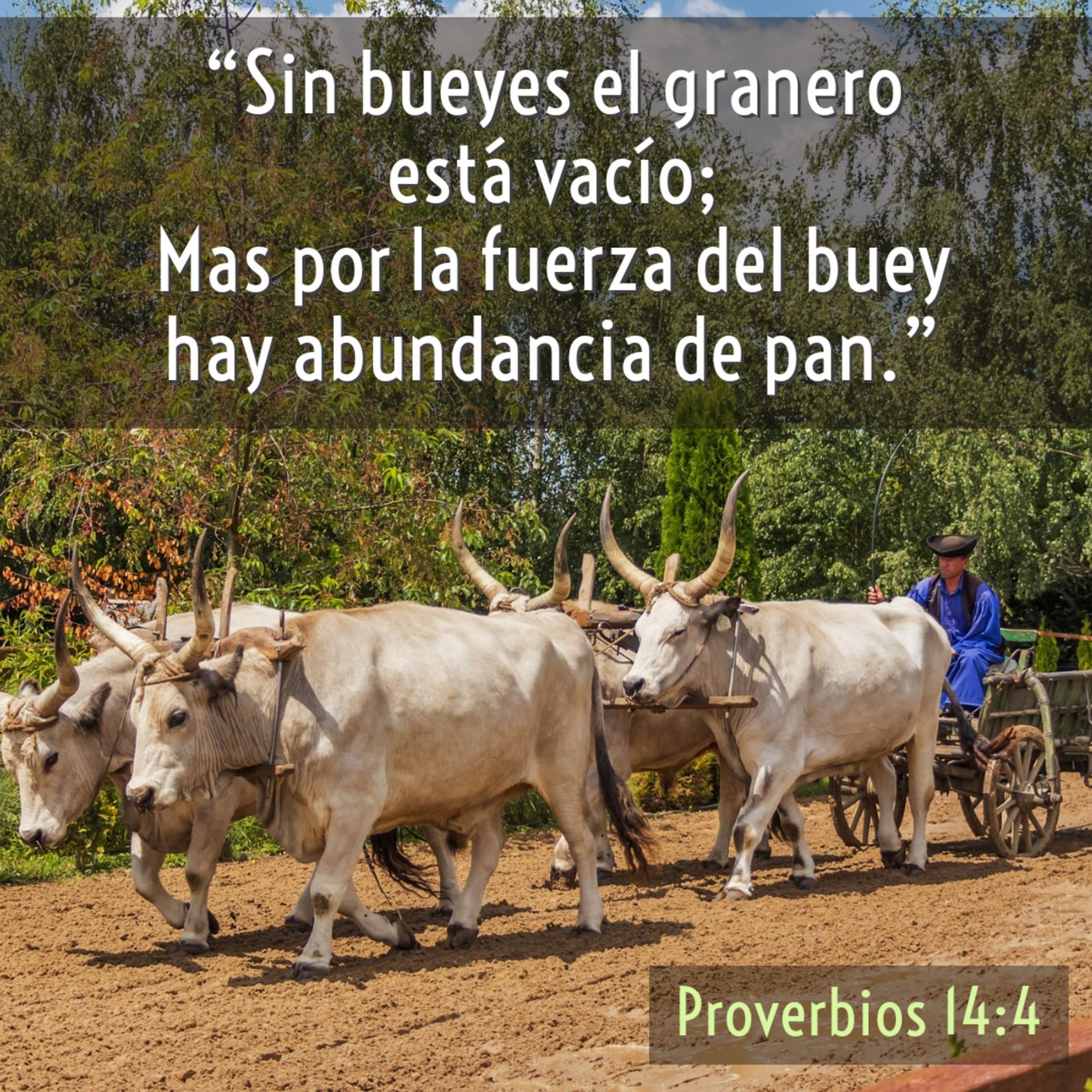 Joyas de Sabiduría (Libro de Proverbios)