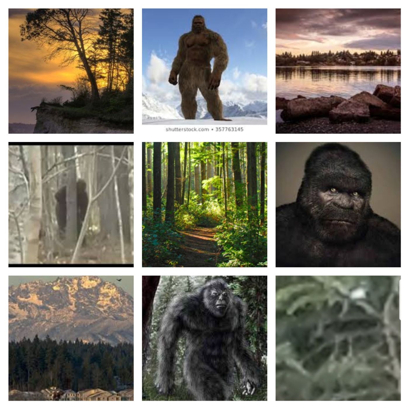 22 Sasquatch Reports. Kitsap County. Bainbridge Island, Washington.