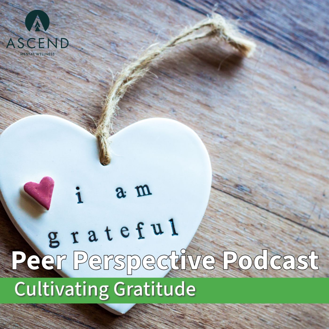Peer Perspective