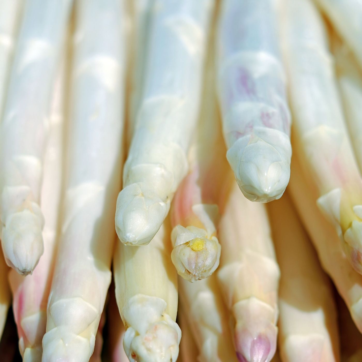 Recetuits: Primavera adelantada en la despensa