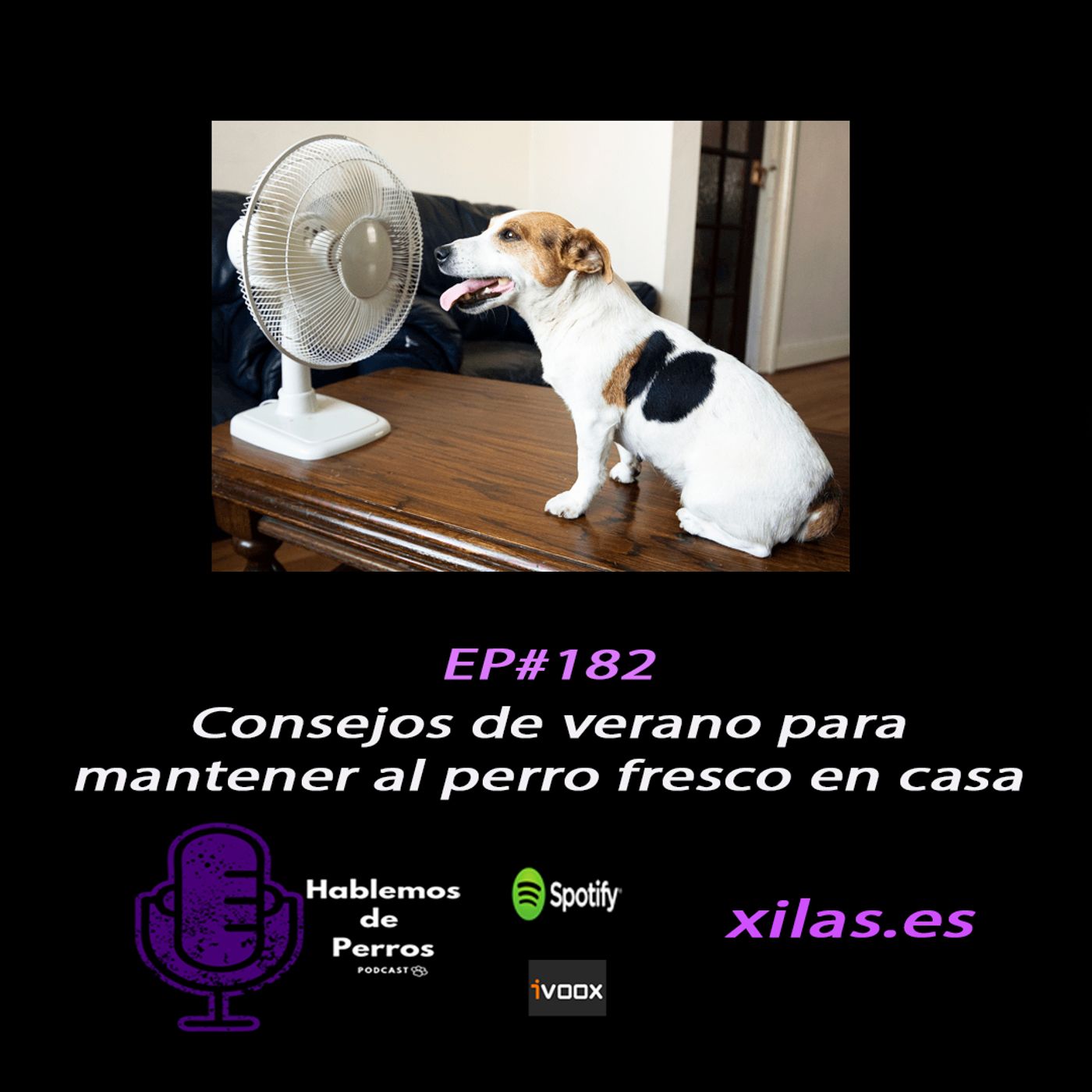 Hablemos de perros