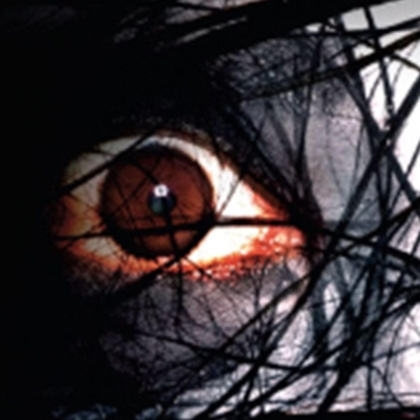 Ti rivedrò nei miei sogni - Racconti Horror episode artwork