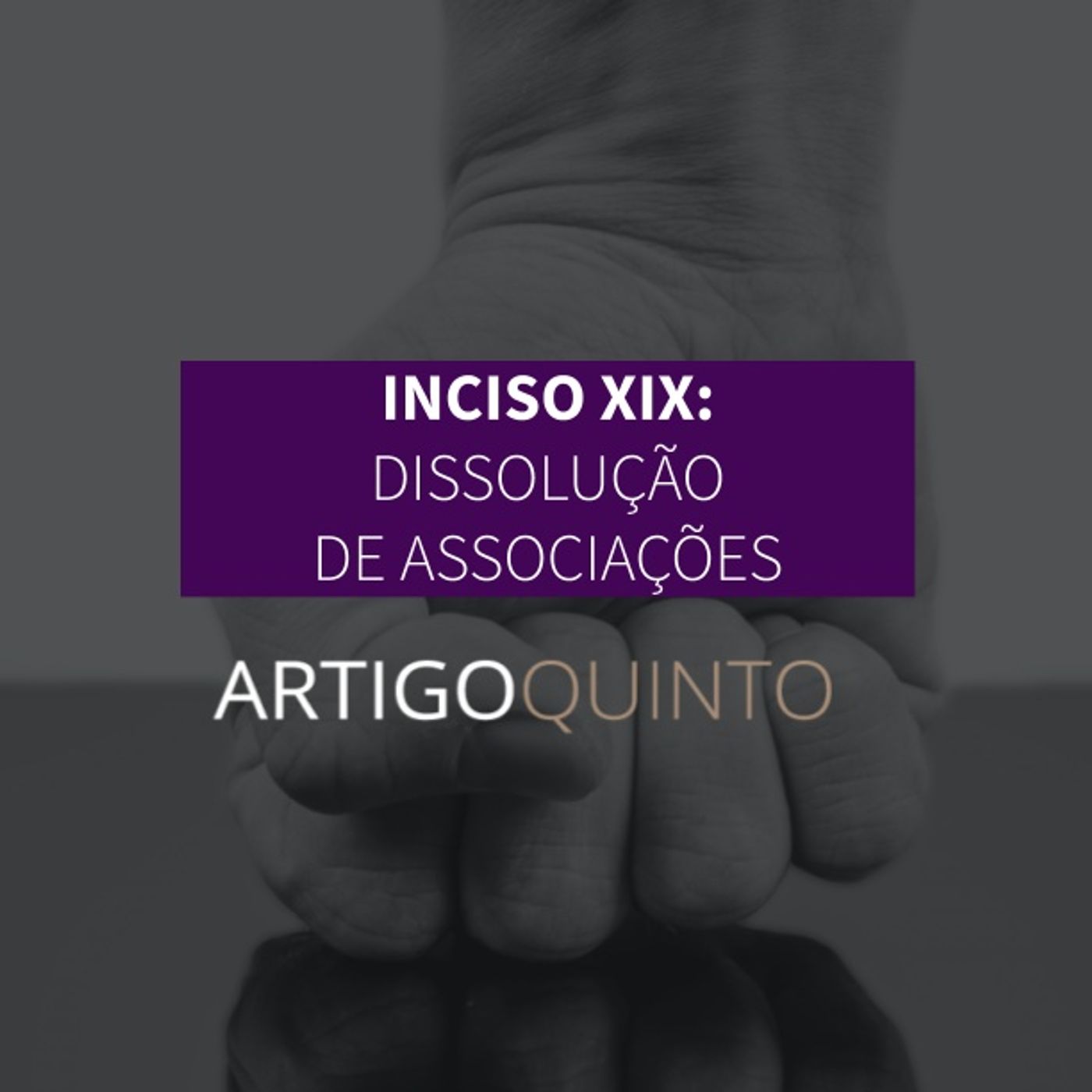 Inciso XIX: Dissolução de Associações - Artigo 5º