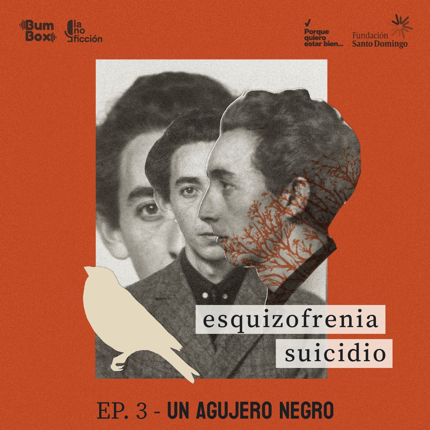¡Qué locura!