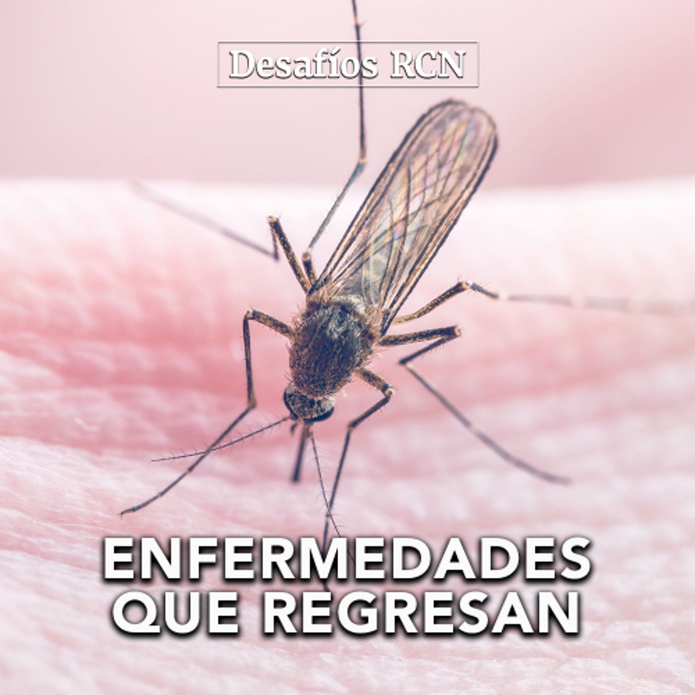 Enfermedades que regresan: fiebre amarilla, tos ferina y tuberculosis en aumento | Desafíos RCN-Javeriana episode artwork
