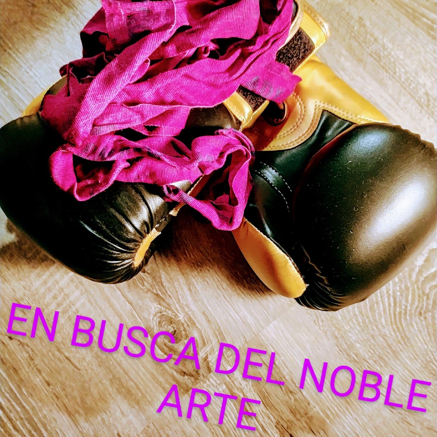 EN BUSCA DEL NOBLE ARTE con Claudio Ruiz