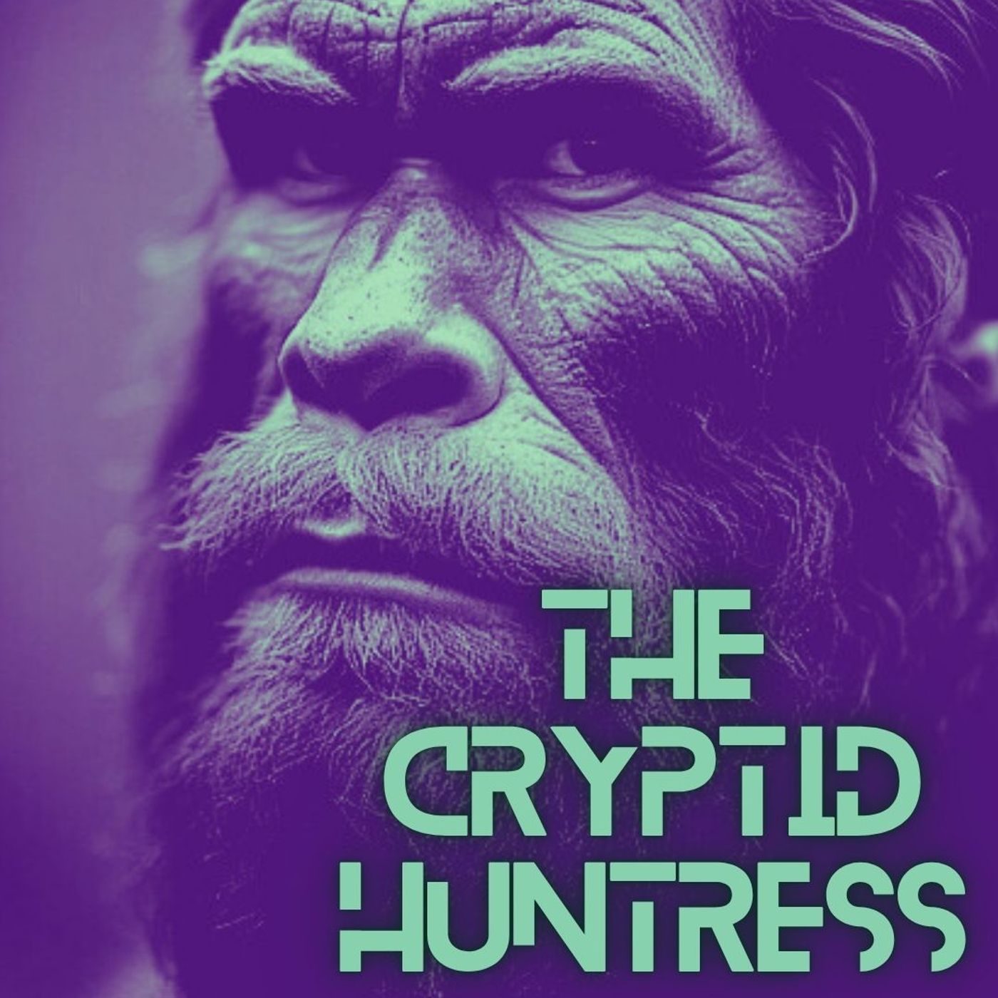 Ohio Bigfoot, Portals & Poltergeists with Mike Tornincasa of MT Paranormal Life