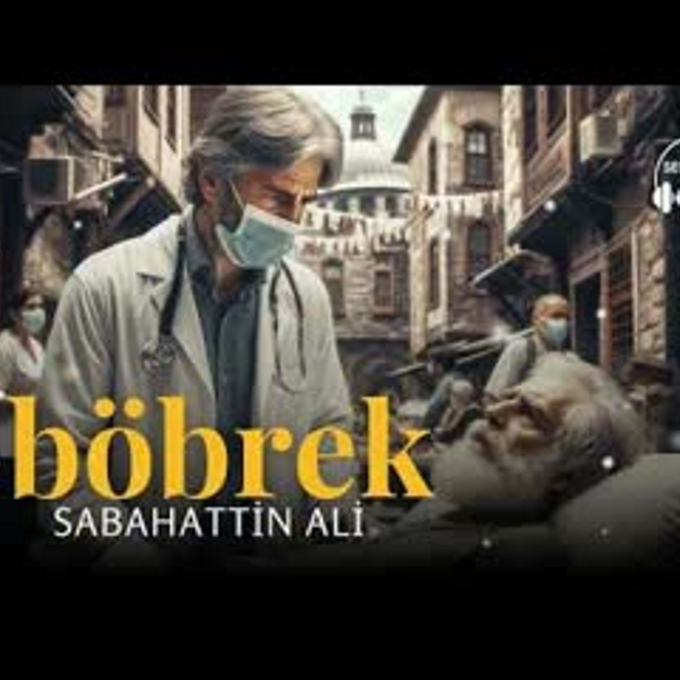 BÖBREK   Sabahattin Ali (Sesli Öykü)