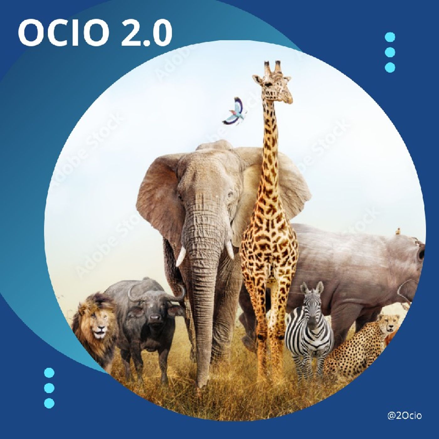 Portada de Ocio 2.0