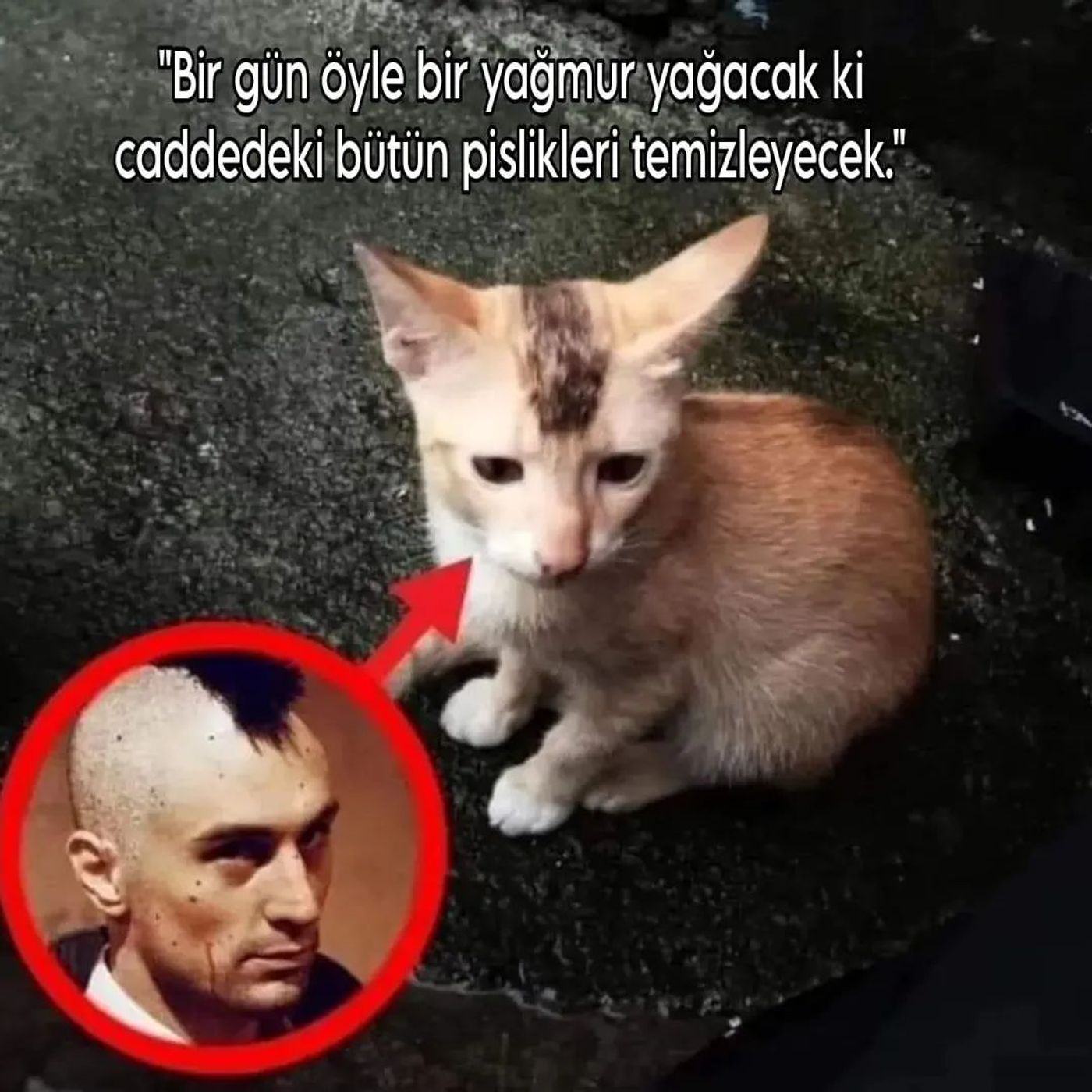 hepsi var abi