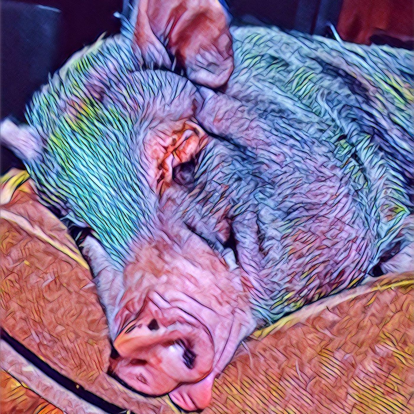 Introducing Ms. Piggles the 3rd mad genius episode artwork